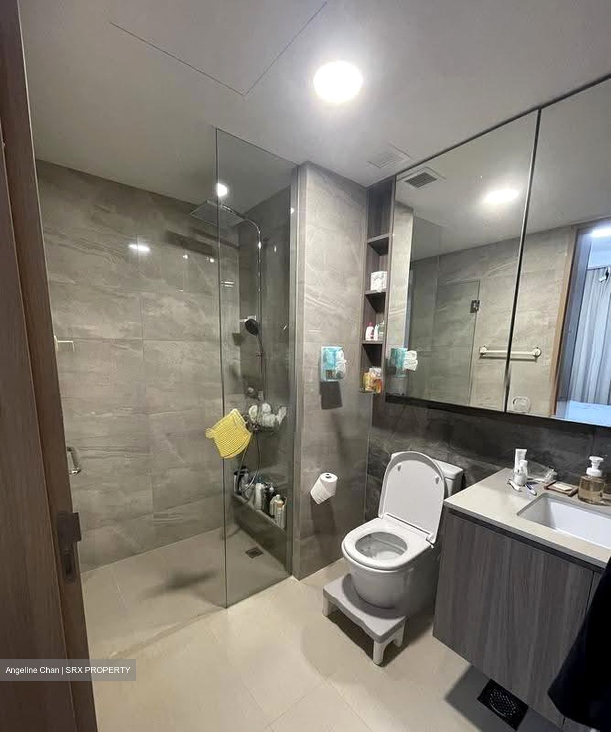 The Botany At Dairy Farm (D23), Condominium #615858091